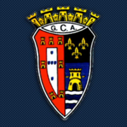 GINÁSIO DE ALCOBAÇA REPRESENTA A UFAV NA FEIRA DE SÃO BERNARDO